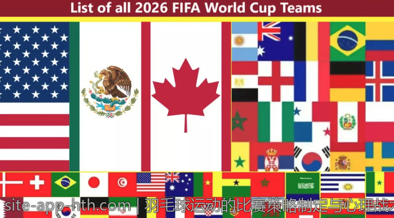 排球运动的国际标准化与国际合作项目介绍